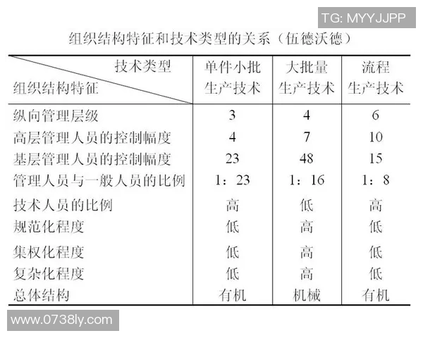 深入分析杭州排球队防守策略与战术特点的专业解读