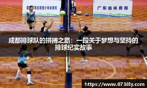 成都排球队的拼搏之路：一段关于梦想与坚持的排球纪实故事