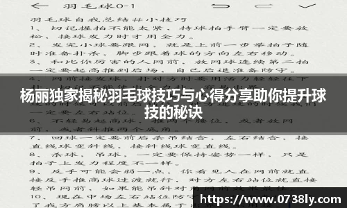 杨丽独家揭秘羽毛球技巧与心得分享助你提升球技的秘诀